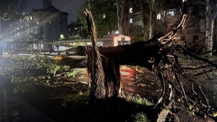 В Запорожье прошла буря: повалены деревья и ограничено транспортное движение (видео)