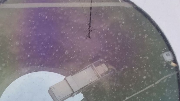 В Запоріжжі пройшов кольоровий дощ: офіційна інформація про подію