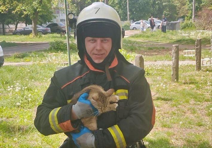 У Запоріжжі надзвичайники врятували кота (фото)