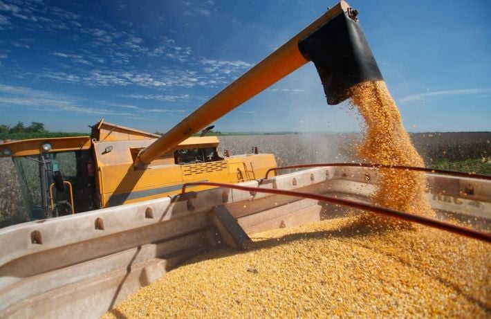 Вывезли 27 тонн пшеницы: оккупанты транспортируют краденое мелитопольское зерно в Венесуэлу - подробности