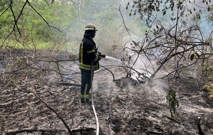 В Запорожье в заповеднике "Хортица" снова возник пожар (фото)
