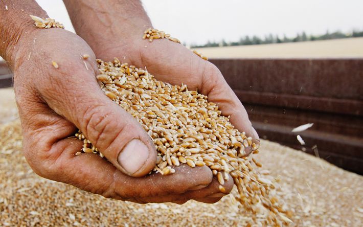 Низькі ціни та вкрадені 300 тисяч тонн зерна: як на окупованій Мелітопольщині працює російський "зерновий оператор" (фото)