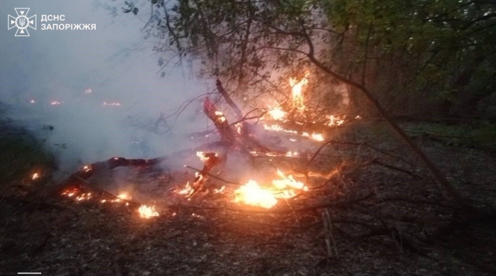 За минулу добу на території Запорізької області рятувальники ліквідували 4 пожежі в екосистемах