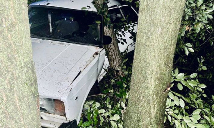 Під наркотиками, без прав і за кермом - поліція Запоріжжя склала протокол на водія, що врізався в дерево (фото)