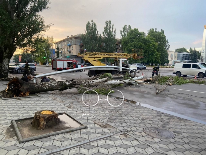 Мелитополь накрыл мощный ливень: город затопило, на центральном проспекте рухнули деревья (фото)