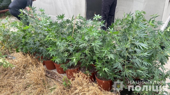 Запорожские полицейские пресекли деятельность группы наркодельцов и изъяли наркотики на сумму более 300 000 грн