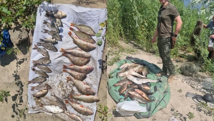 Наловил на 500 тысяч гривен: в Запорожье задержали рыбака в плавневой части острова Хортица