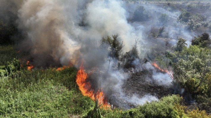 В Запорожской области загорелись территории экосистемы