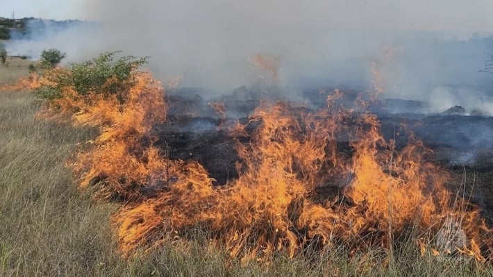Аномальная жара вызвала трехкратный рост количества пожаров в Запорожской области (видео)