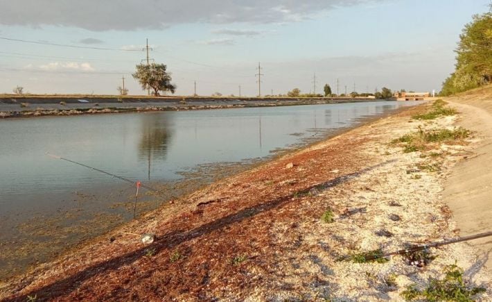 Опустынивание началось: на Мелитопольщине в каналах уже нет воды, реки катастрофично обмелели (фото)