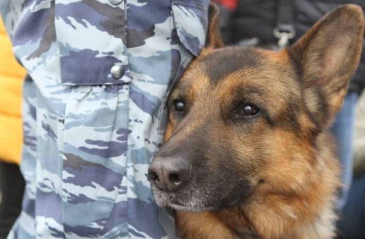 У жительницы Мелитополя рашисты отняли дачу и угрожали натравить собак