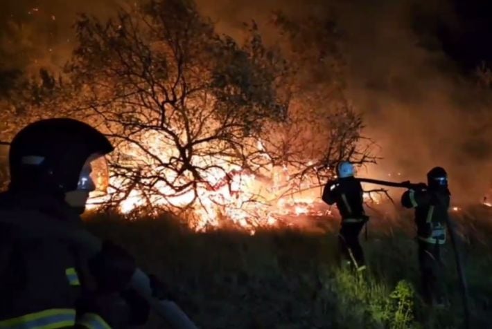 Масштабный пожар уничтожил часть заповедника на острове Бирючий возле Кирилловки (видео)