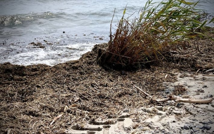 Пропавшую на пляже в Измаиле 13-летнюю девушку нашли мертвой: что произошло