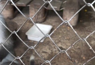 Грязь, измученные животные без воды: мелитопольцев шокировало состояние животных в местном зоопарке (фото)