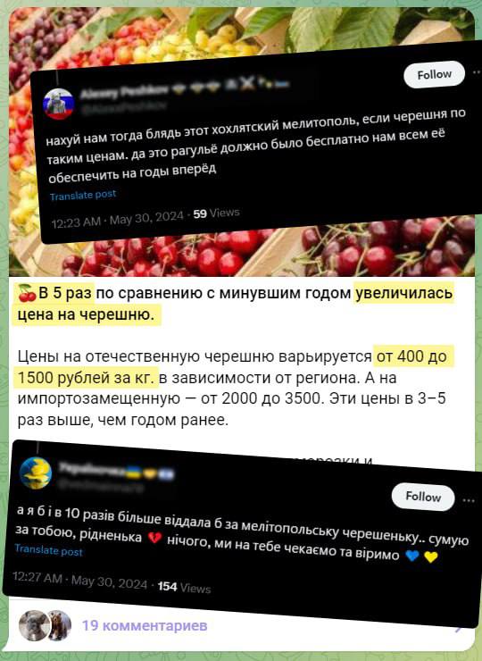 Зачем нам хохляцкий Мелитополь, если черешня по таким ценам? - в россии цены на черешню выросли в пять раз (фото)