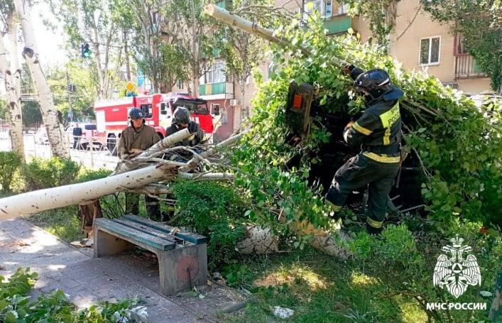 В оккупированном Мелитополе на дороге перевернулся и снес дерево грузовик (фото)