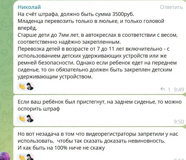 В оккупированном Мелитополе на 30 тысяч оштрафовали водителя за 50-килограмового ребенка без автокресла (фото)