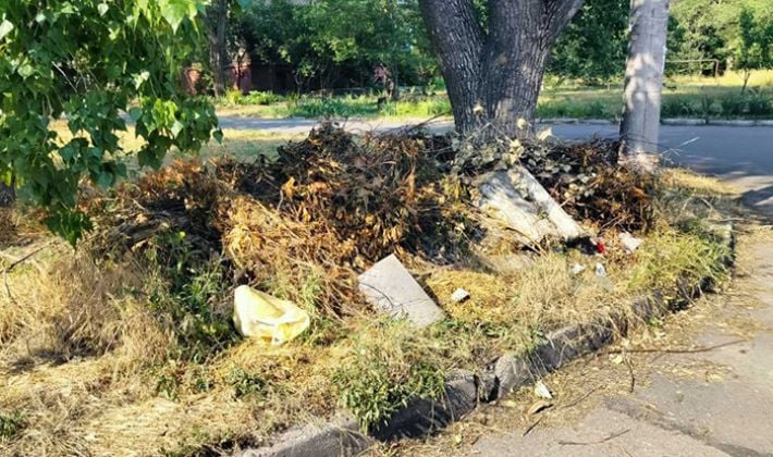 Более 60 квадратных метров замусоривания: в Запорожье нашли стихийные свалки (фото)