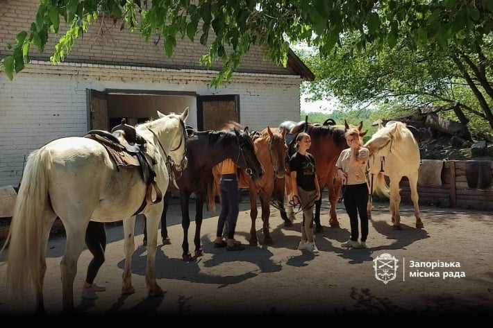Иппотерапия в Запорожье: как дети погибших военных находят поддержку среди лошадей
