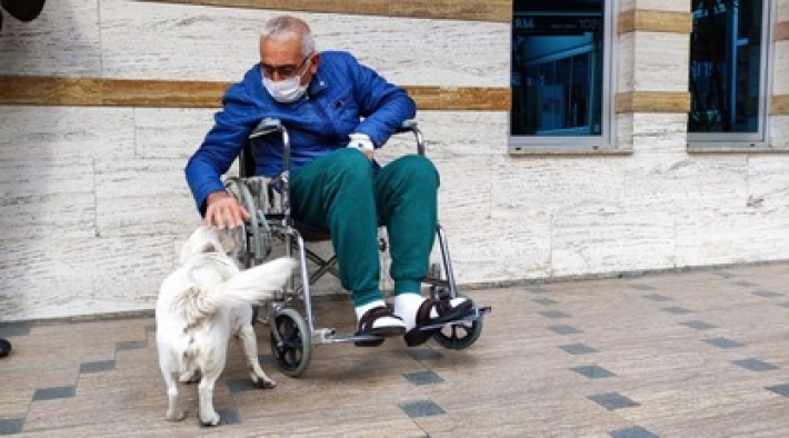 Верная собака днями ждала хозяина у дверей больницы - видео их встречи трогает до слез
